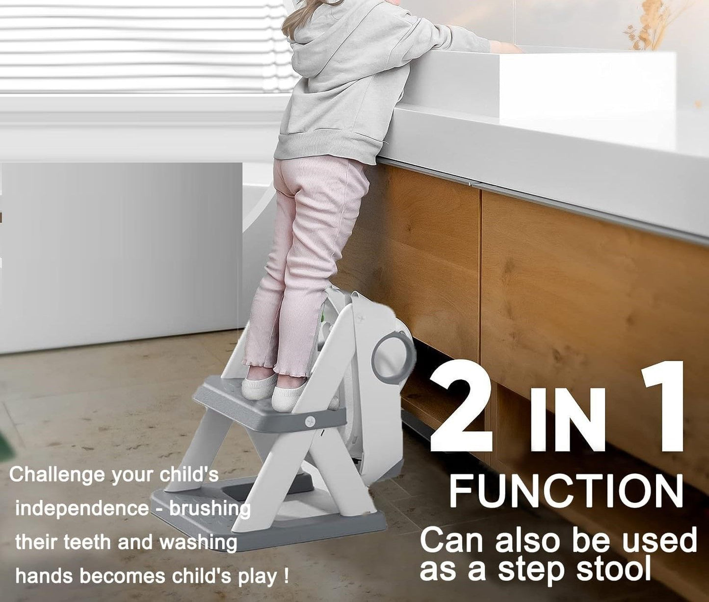 Potty Training Seat with Ladder