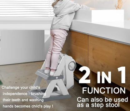 Potty Training Seat with Ladder