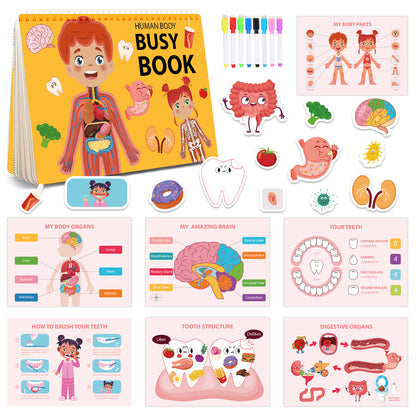 Interactive Human Body Busy Book Set (2 Books)