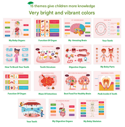 Interactive Human Body Busy Book Set (2 Books)